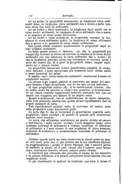 Giornale internazionale delle scienze mediche