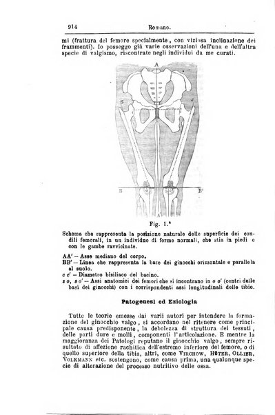 Giornale internazionale delle scienze mediche