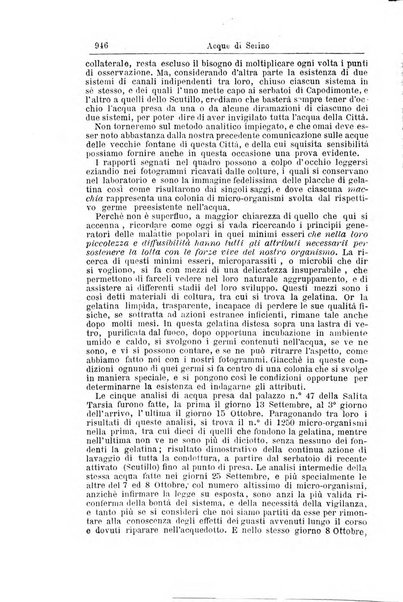 Giornale internazionale delle scienze mediche