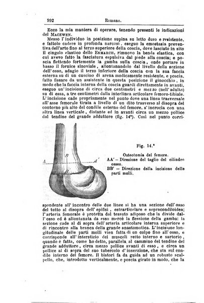 Giornale internazionale delle scienze mediche