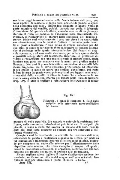 Giornale internazionale delle scienze mediche