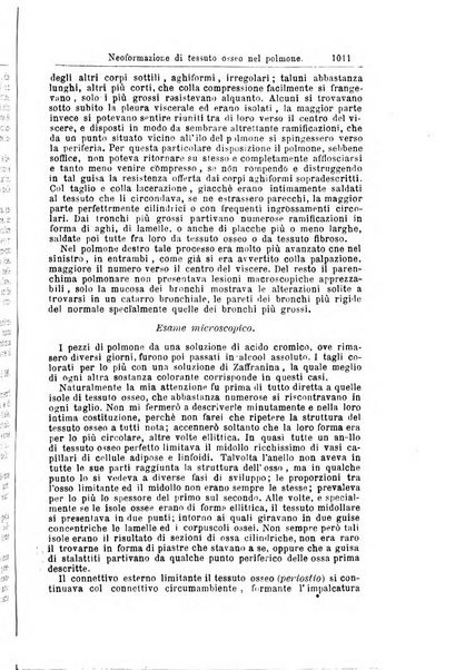 Giornale internazionale delle scienze mediche