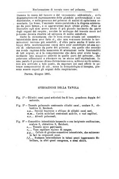 Giornale internazionale delle scienze mediche