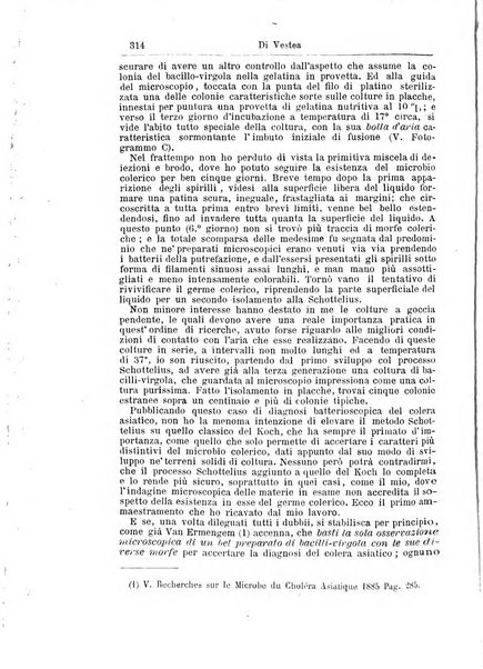 Giornale internazionale delle scienze mediche