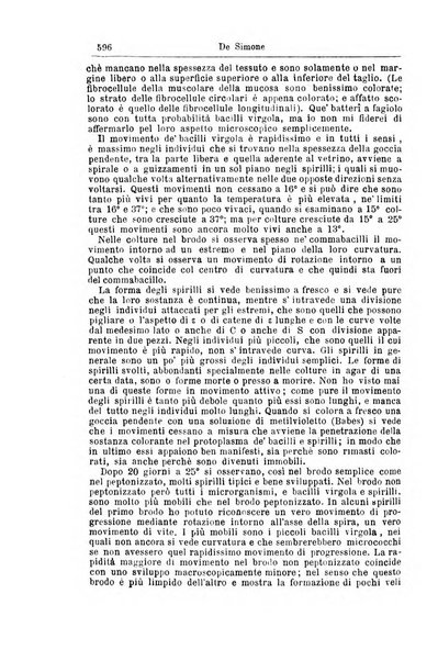 Giornale internazionale delle scienze mediche