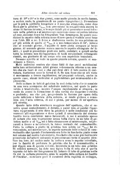 Giornale internazionale delle scienze mediche