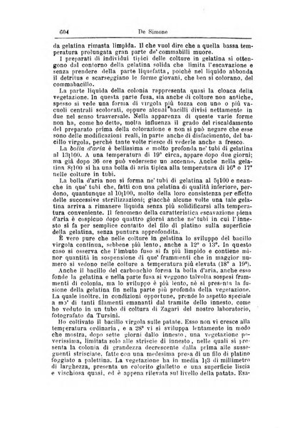 Giornale internazionale delle scienze mediche