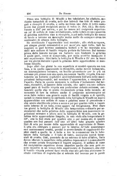 Giornale internazionale delle scienze mediche