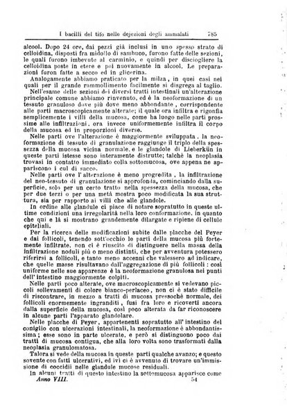 Giornale internazionale delle scienze mediche