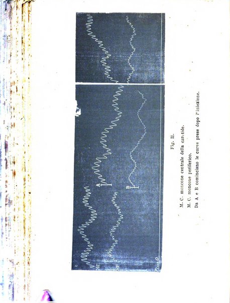 Giornale internazionale delle scienze mediche