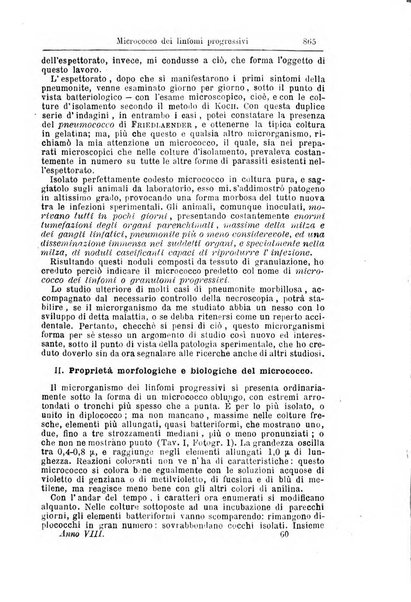 Giornale internazionale delle scienze mediche