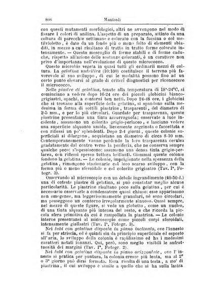 Giornale internazionale delle scienze mediche