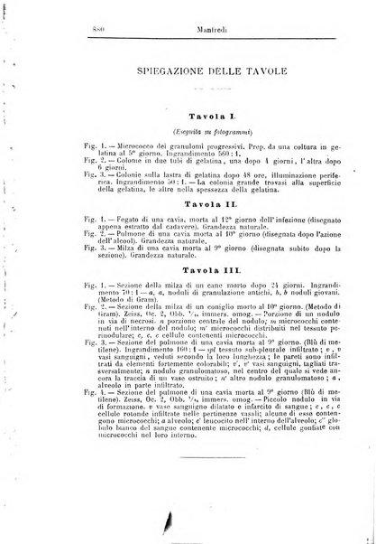 Giornale internazionale delle scienze mediche