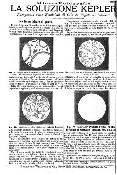 Giornale internazionale delle scienze mediche