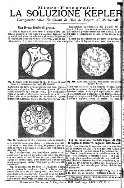 Giornale internazionale delle scienze mediche