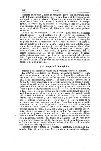 Giornale internazionale delle scienze mediche