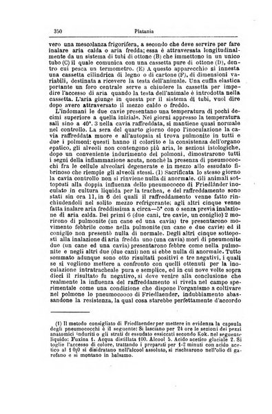 Giornale internazionale delle scienze mediche