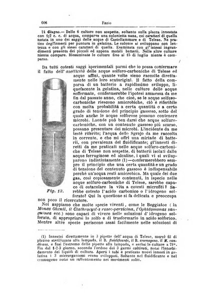 Giornale internazionale delle scienze mediche