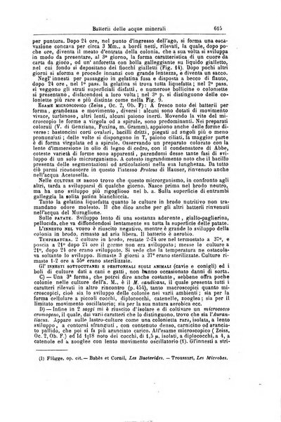 Giornale internazionale delle scienze mediche