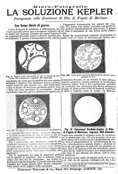 Giornale internazionale delle scienze mediche