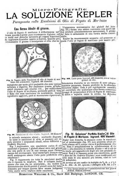 Giornale internazionale delle scienze mediche