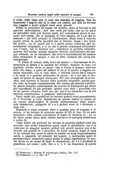 Giornale internazionale delle scienze mediche