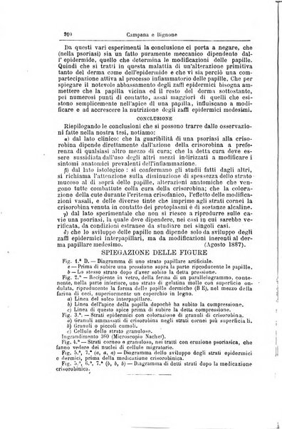 Giornale internazionale delle scienze mediche