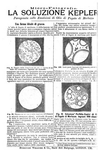 Giornale internazionale delle scienze mediche