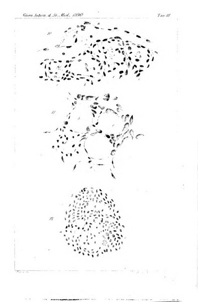 Giornale internazionale delle scienze mediche