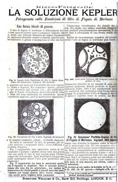 Giornale internazionale delle scienze mediche