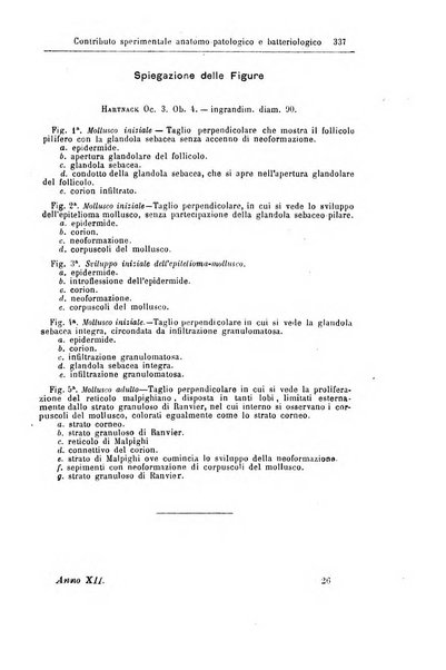 Giornale internazionale delle scienze mediche