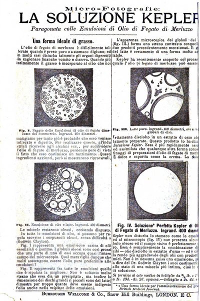 Giornale internazionale delle scienze mediche