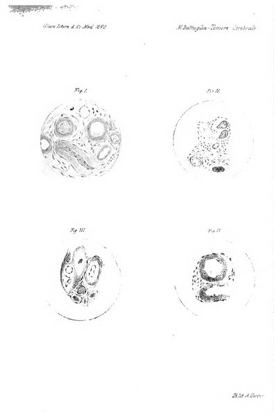 Giornale internazionale delle scienze mediche