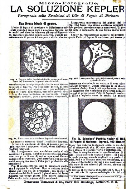 Giornale internazionale delle scienze mediche