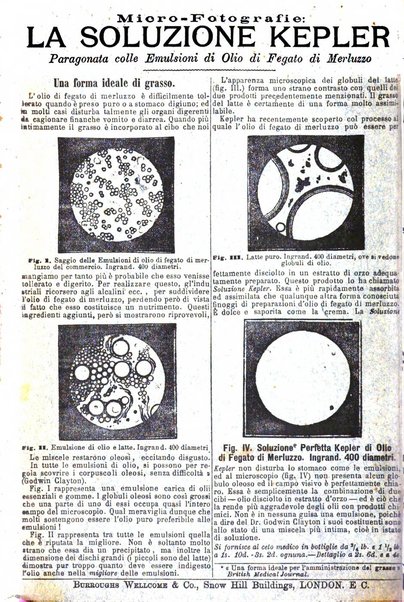 Giornale internazionale delle scienze mediche