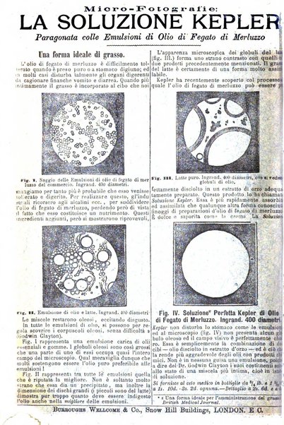 Giornale internazionale delle scienze mediche