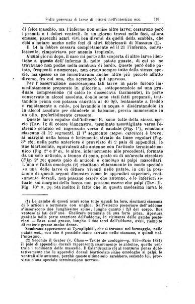 Giornale internazionale delle scienze mediche