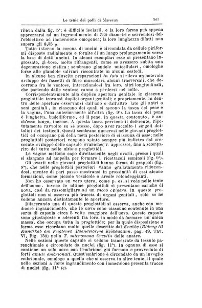 Giornale internazionale delle scienze mediche