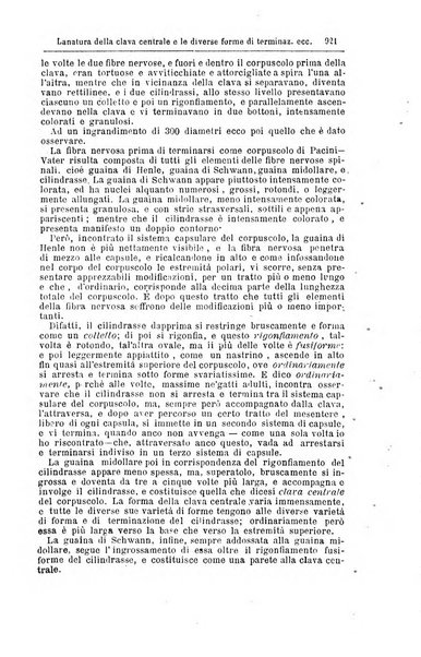 Giornale internazionale delle scienze mediche