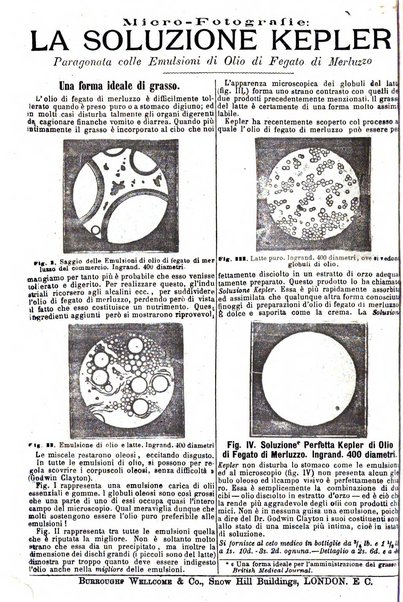 Giornale internazionale delle scienze mediche