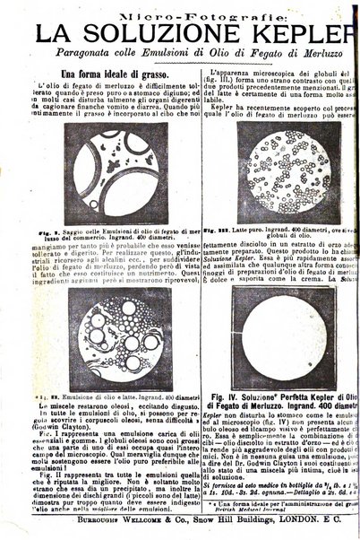 Giornale internazionale delle scienze mediche