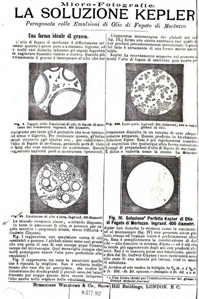 Giornale internazionale delle scienze mediche