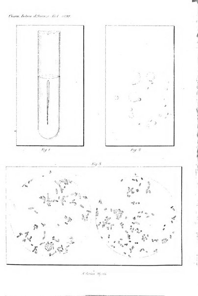 Giornale internazionale delle scienze mediche