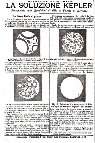 Giornale internazionale delle scienze mediche