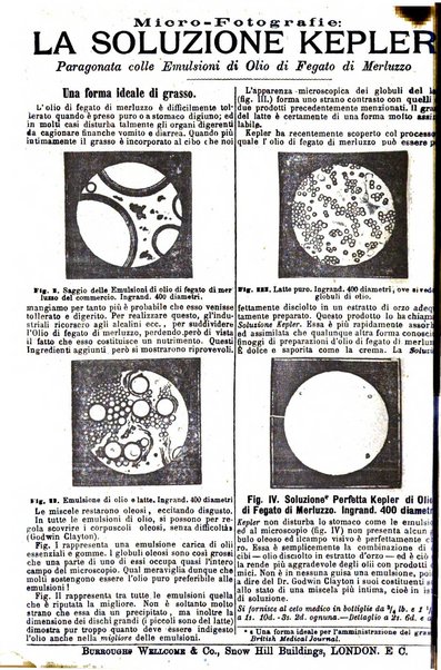 Giornale internazionale delle scienze mediche