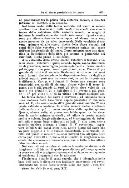 Giornale internazionale delle scienze mediche