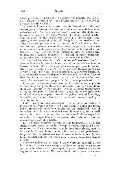 Giornale internazionale delle scienze mediche