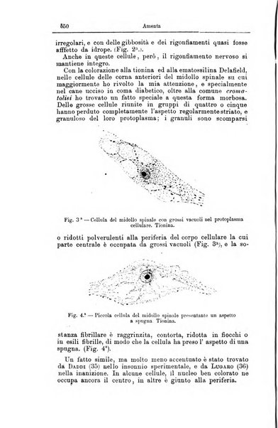 Giornale internazionale delle scienze mediche