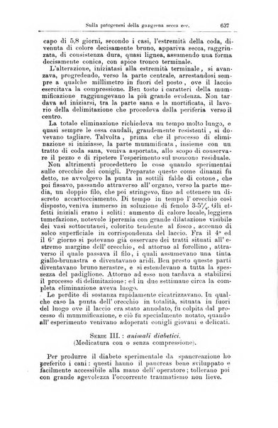 Giornale internazionale delle scienze mediche