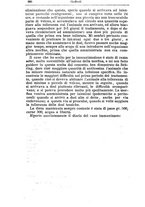 giornale/NAP0021576/1898/unico/00000974